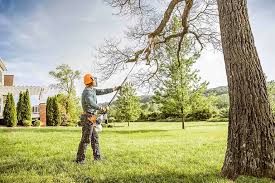 Best Tree Trimming and Pruning  in Fort Rucker, AL