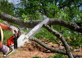 Best Lot and Land Clearing  in Fort Rucker, AL